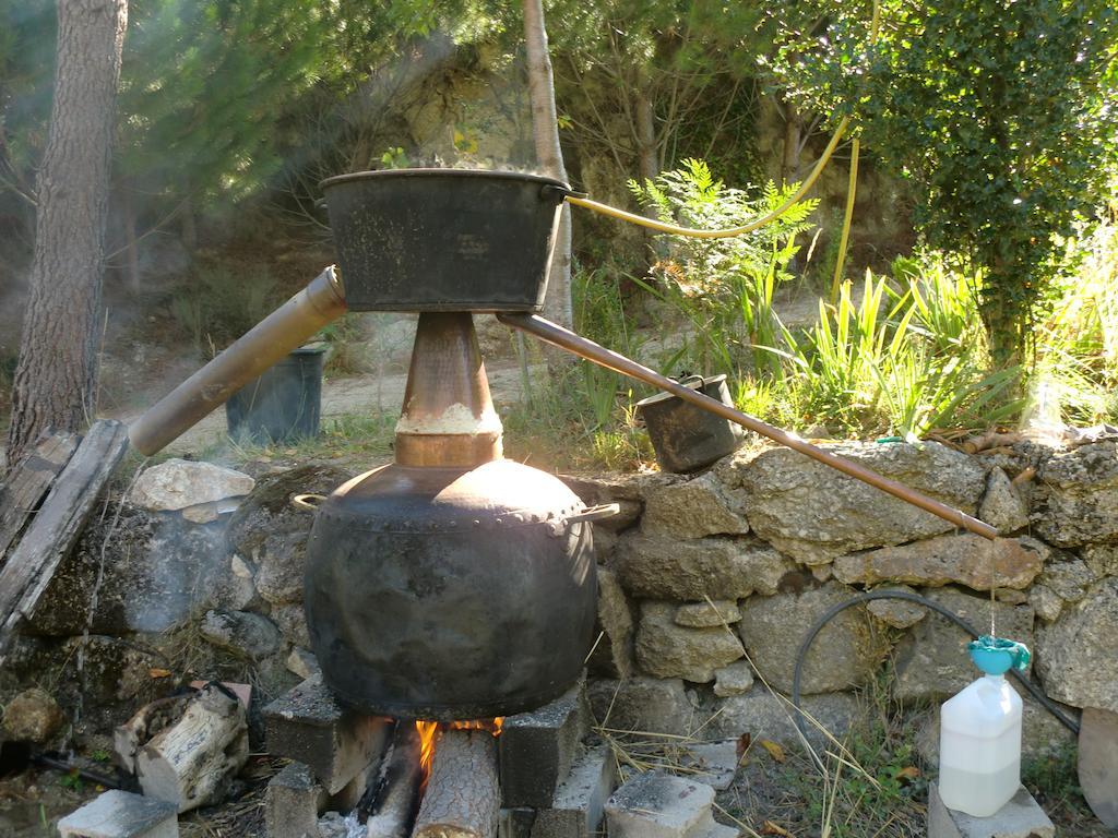 Quinta Do Circo - Serra Da Estrela - Turismo Rural Cortes do Meio Экстерьер фото